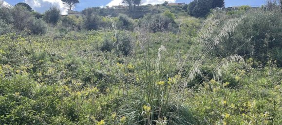 Terreno em Cefalù, Italy 73 m² N.º 142347 2