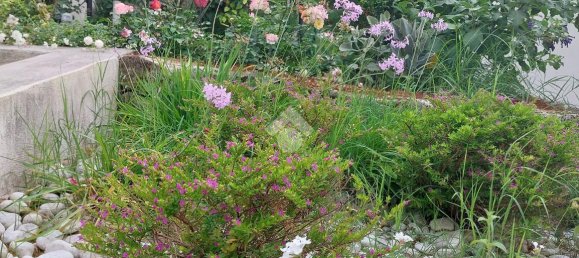 3 rooms Apartment in Ischia, Italy No. 136067 4