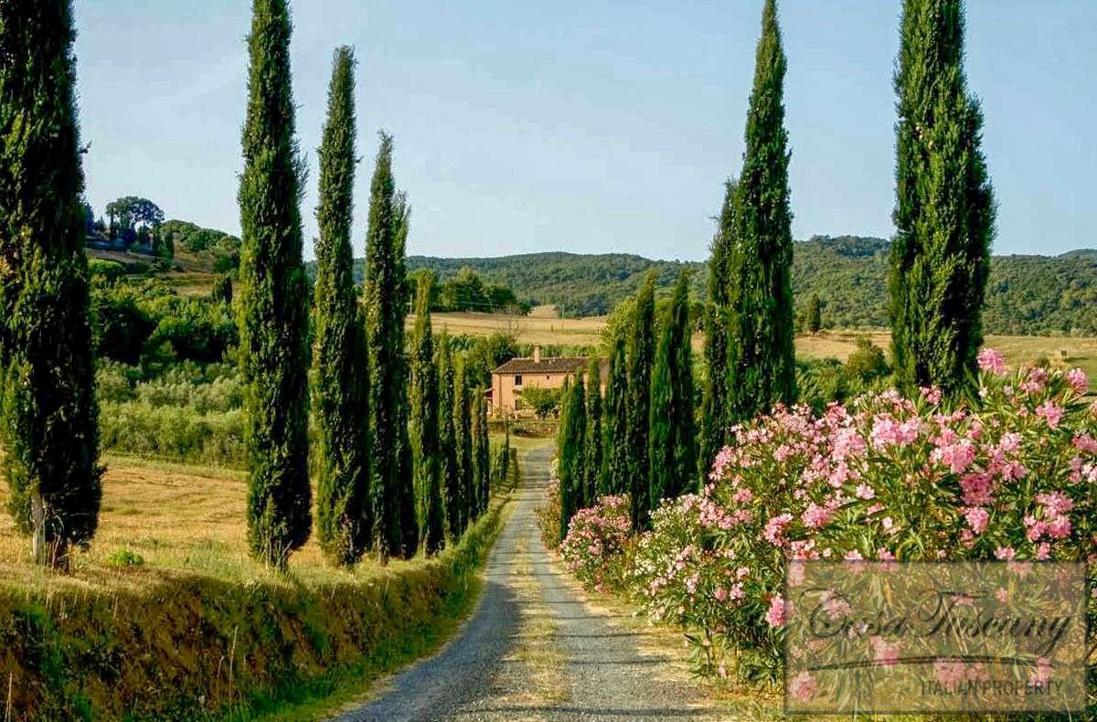 4 chambres Villa à Riparbella, Italy No. 228