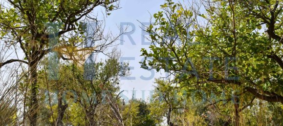 2 bedrooms Villa in Noto, Italy No. 134049 26