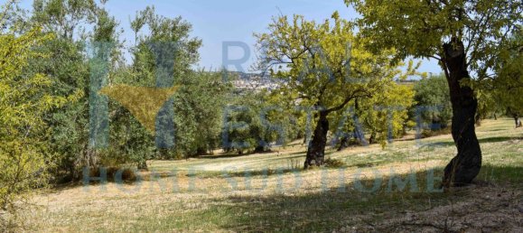 2 bedrooms Villa in Noto, Italy No. 134049 39