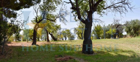 2 bedrooms Villa in Noto, Italy No. 134049 38