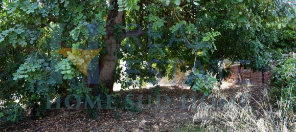 2 bedrooms Villa in Noto, Italy No. 134049 43