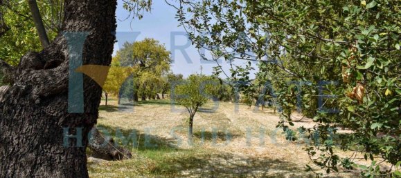 2 bedrooms Villa in Noto, Italy No. 134049 4