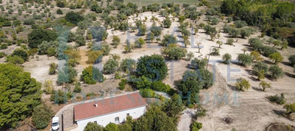 2 bedrooms Villa in Noto, Italy No. 134049 11