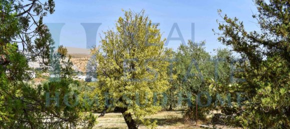 2 bedrooms Villa in Noto, Italy No. 134049 36