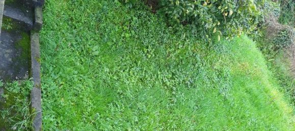 5-Zimmer Wohnung in Ameglia, Italy, Nr. 156124 7