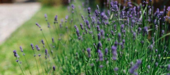 3-salle Maison à Arnoldstein, Austria No. 172978 11