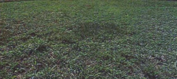 5116m² Land in Bondeno, Italy No. 301152 8