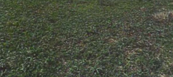 5116m² Land in Bondeno, Italy No. 301152 10