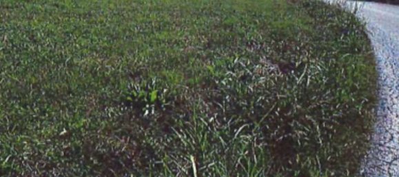 5116m² Land in Bondeno, Italy No. 301152 3