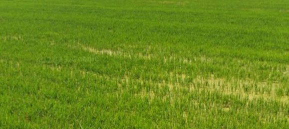 1-salle Entrepôt à Semiana, Italy No. 184124 4