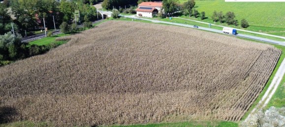  Land in Wallern an der Trattnach, Austria No. 130635 6