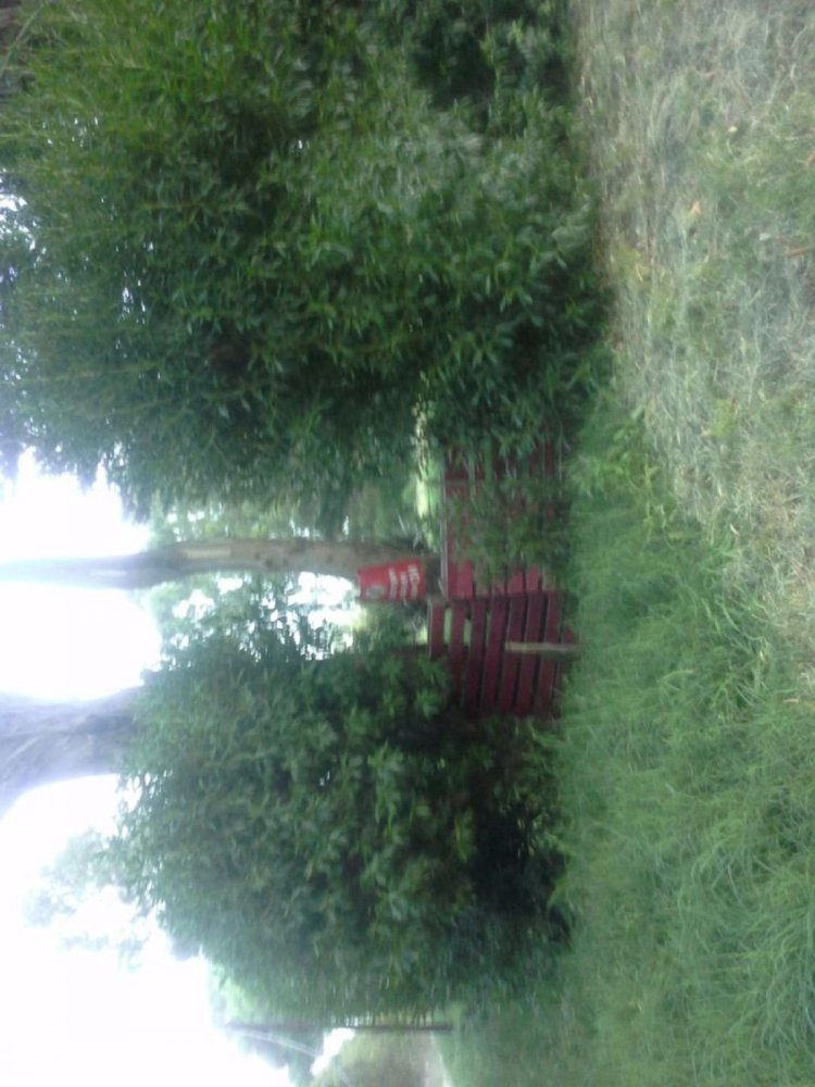 Grundstück in General Pueyrredon, Argentina, Nr. 41412