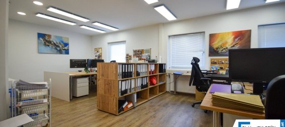 Gewerbliche Immobilie in Wels, Austria 900m², Nr. 127525 22