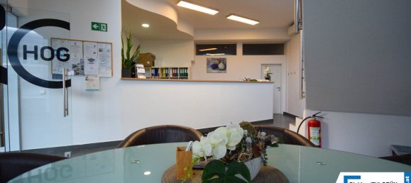 Gewerbliche Immobilie in Wels, Austria 900m², Nr. 127525 3