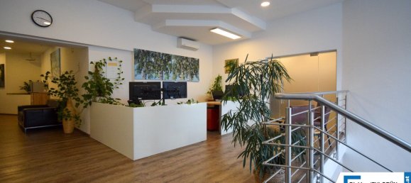 Gewerbliche Immobilie in Wels, Austria 900m², Nr. 127525 6