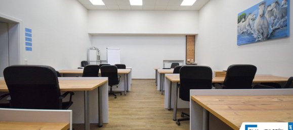 Gewerbliche Immobilie in Wels, Austria 900m², Nr. 127525 18