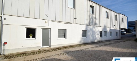 Gewerbliche Immobilie in Wels, Austria 900m², Nr. 127525 30