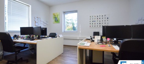 Gewerbliche Immobilie in Wels, Austria 900m², Nr. 127525 16