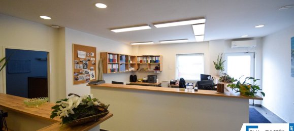 Gewerbliche Immobilie in Wels, Austria 900m², Nr. 127525 20