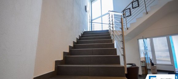 Gewerbliche Immobilie in Wels, Austria 900m², Nr. 127525 5