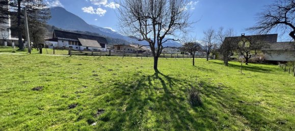  Land in Feistritz im Rosental, Austria No. 86702 2