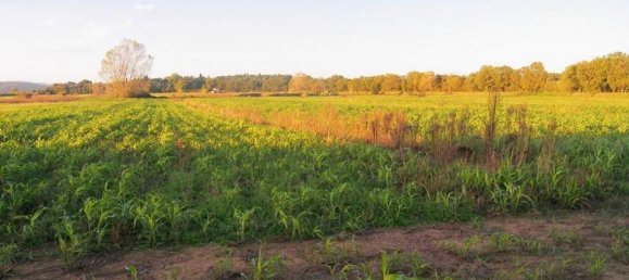 Studio in Sinalunga, Italy No. 1391 6