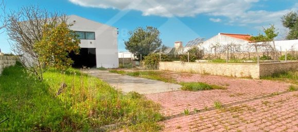 Дом с 3 спальнями в Мариньяйш, Португалия № 13895 23