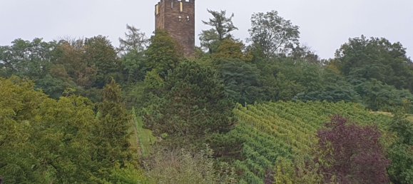 6 Schlafzimmer Haus in Enzkreis, Germany, Nr. 13779 14