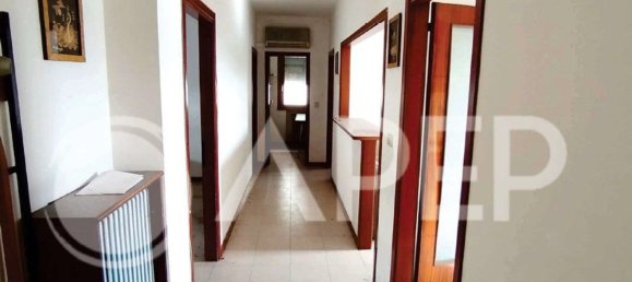 5 rooms Apartment in Limena, Italy No. 60136 7