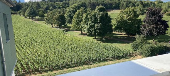1 Schlafzimmer Wohnung in Chenove, France, Nr. 355856 7