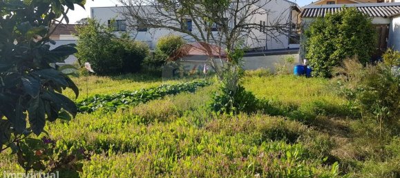 450m² Land in Espinho, Portugal No. 66488 4