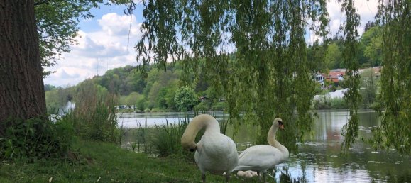 Moradia em banda T3 em Saarpfalz, Germany N.º 370784 9