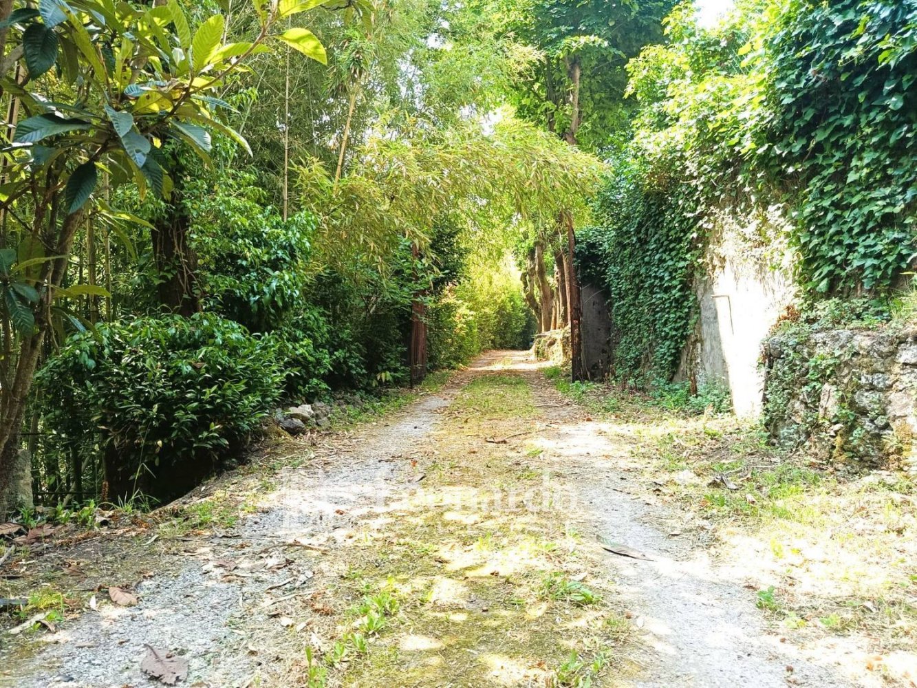 10 غرف نوم منزل في Camaiore, Italy رقم 334864