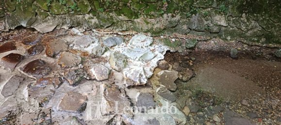 10 غرف نوم منزل في Camaiore, Italy رقم 334864 21