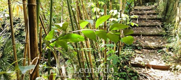 10 غرف نوم منزل في Camaiore, Italy رقم 334864 22