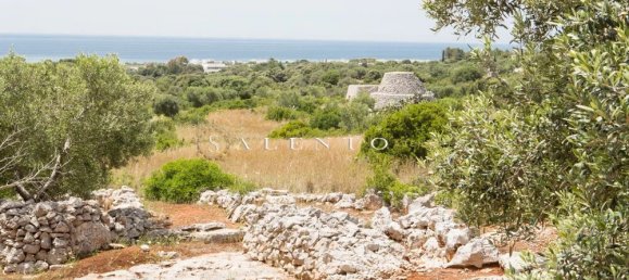 4 Schlafzimmer Villa in Salve, Italy, Nr. 113135 3