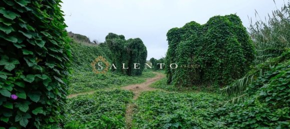 4 Schlafzimmer Villa in Salve, Italy, Nr. 113135 30