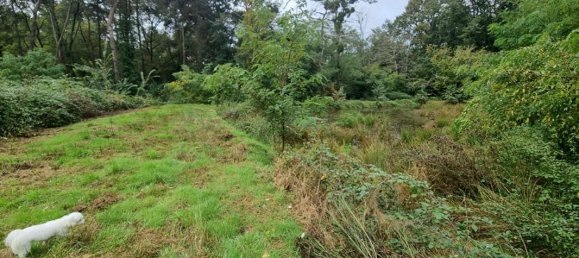 Terreno en Les Bordes, France No. 234445 5