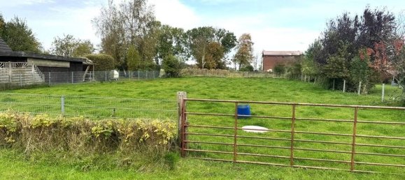 Terrain à Dithmarschen, Germany No. 61555 4