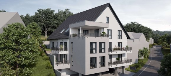 Terreno en Odenwaldkreis, Germany No. 71104 2