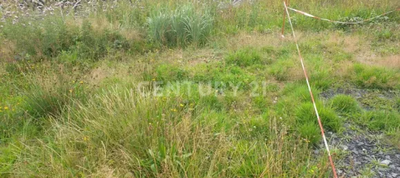 Земельный участок в Меркиш, Германия № 355664 14