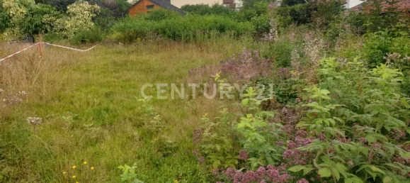 Земельный участок в Меркиш, Германия № 355664 8