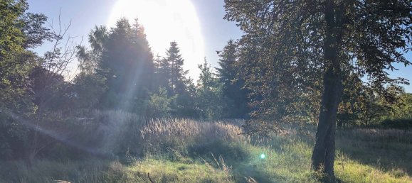 Grundstück in Vorpommern-Rügen, Germany, Nr. 137971 12