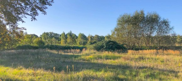 Grundstück in Vorpommern-Rügen, Germany, Nr. 137971 11