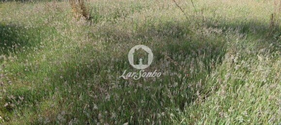 1032m² Land in Laundos, Portugal No. 157966 2