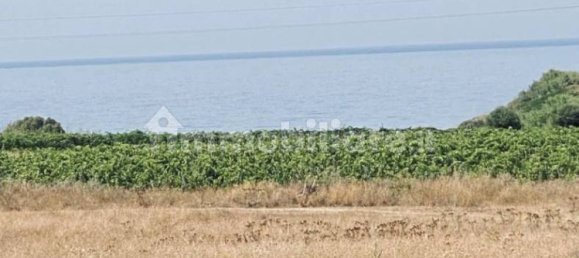 3 Schlafzimmer Villa in Castelvetrano, Italy, Nr. 272916 34