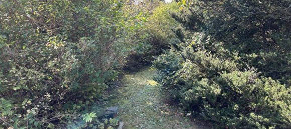 5 rooms House in Luneburg, Germany No. 202864 7