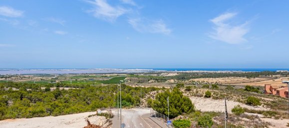 5 غرف نوم فيلا في San Miguel de Salinas, Spain رقم 184743 4